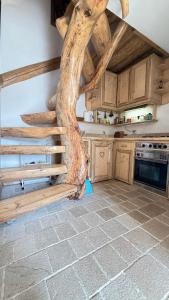 a kitchen with a tree growing out of the ceiling at Blueberry Mountain House in Žabljak