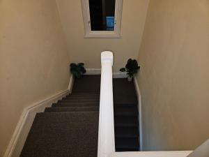 a stairway with two potted plants on top of it at Entire 2 Bedroom Apartment City Centre & Stadium in Cardiff +4 photos