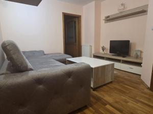 TV a/nebo společenská místnost v ubytování Apartament Matei