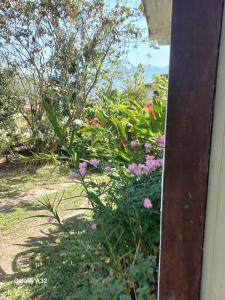 Gallery image of Pousadinha Ateliê da Maite in Paraty