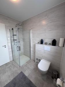 a bathroom with a shower and a toilet at Ferienwohnung NOVA 1 Merzig - Brotdorf in Merzig +9 photos