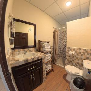 un bagno con lavandino, WC e specchio di La Casa de Sonya a Concepción de Ataco