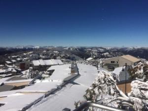 マウント・ブラーにあるBeehive 9 AMS Mt Bullerの雪山(スキー場付)の景色