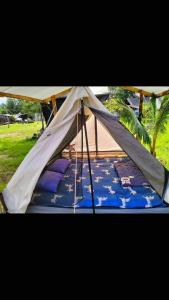 a tent is set up in a field at Eco Beach Can GIo in Kon Rung (1) +2 photos