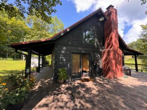 セバービルにあるSmoky Mountains FamiLee Cabin in Wears Valley 2/2の赤屋根の黒家