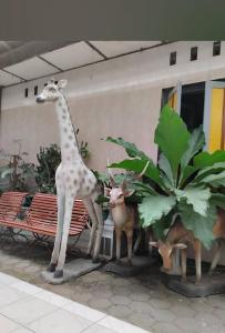 Fotografie z fotogalerie ubytování D'Martin Hotel Malioboro v destinaci Sentool