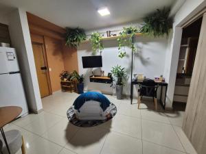 a room with potted plants on the walls and a room with a bed at Ed Gift Home Setor Oeste in Goiânia