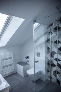 a bathroom with a toilet and a glass shower at Kandahar Lodge in Garmisch-Partenkirchen