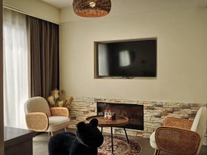 a black cat sitting in a living room with a tv at Qingqian Guanshan Swimming Pool Private Hot Spring B&B in Xi'an +6 photos