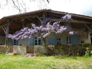 a wisteria tree in front of a house at Gite Rural de Caractere in Guérin