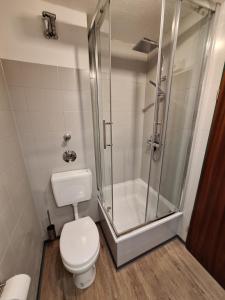 a bathroom with a toilet and a shower at Elbidylle Ferienwohnung in Barby am Elberadweg in Barby