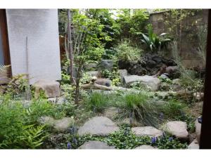 桑名市にあるMugi no oyado - Vacation STAY 13499の岩と植物のある庭園 +12枚の写真