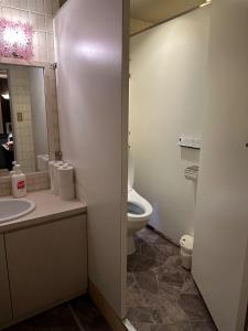 高知市にあるGuest House Tosa Otesujihana - Vacation STAY 14358のトイレ、洗面台、鏡のあるバスルーム