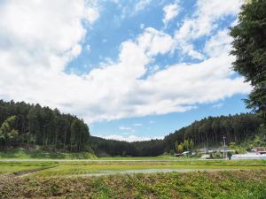 a road in a field with trees in the background at Kominka Washinkan - Vacation STAY 13791 in Yaita