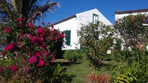 una casa blanca con flores delante en Casa d'Amália, en Ginetes