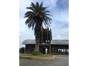 eine Palme vor einem Gebäude in der Unterkunft Oasis Wadaura - Vacation STAY 67404v in Kamogawa