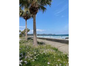 Příroda nedaleko prázdninového domu