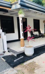 a house with two potted plants on the porch at Coco Breeze Villa in Talpe
