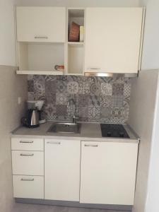 Η κουζίνα ή μικρή κουζίνα στο Apartments & rooms Ana Sukosan +52 φωτογραφίες