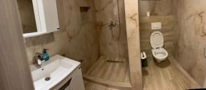 a bathroom with a white toilet and a sink at Imanje POGLED in Arandelovac +38 photos