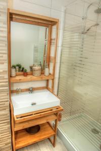 La salle de bains est pourvue d'un lavabo et d'une douche. dans l'établissement La Pétillante, à Châlons-en-Champagne