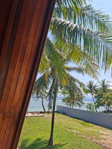 a palm tree standing next to a beach at Soluta Resort in Wainapal