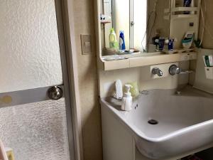 a bathroom with a sink and a mirror and a shower at Lemon Sou Guest House - Vacation STAY 16205 in Ichihara