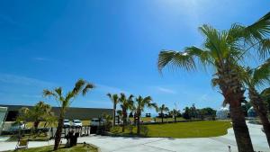 Příroda nedaleko luxury tent