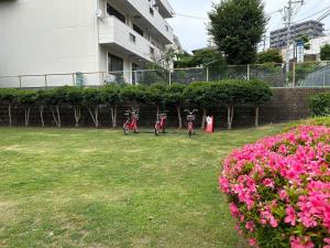 zwei Fahrräder in einem Hof mit rosa Blumen geparkt in der Unterkunft Chambord Kyomachi 205 - Vacation STAY 69095v in Kumamoto