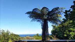 a palm tree with the ocean in the background at Whole house rental inn Horizon line - Vacation STAY 18087v in Yakushima +4 photos