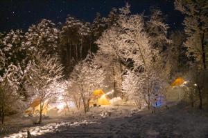 Το Shirasu-Ojiro FLORA Campsite in the Natural Garden - Vacation STAY 00653v τον χειμώνα