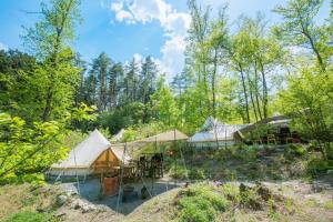 Vườn quanh Shirasu-Ojiro FLORA Campsite in the Natural Garden - Vacation STAY 66655v