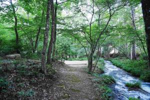 a path in the woods next to a river at Glamping Azumino BASE Polecan - Vacation STAY 49297v in Azumino +9 photos