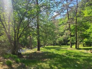 a lush green park with trees and grass at Nodaira Campsite - Vacation STAY 82814v in Iida