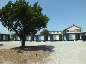 a tree sitting in the middle of a gravel yard at Ko-eda Village - Camp - Vacation STAY 42084v in Iioka