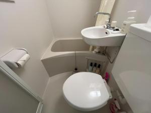 un piccolo bagno con un water e un lavandino di K-style Nishijin backpackers - Vacation STAY 17742 a Kyoto