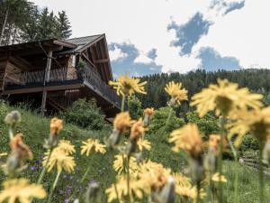 a field of flowers in front of a cabin at Baumhaus by Hotel Gassner in Neukirchen am Großvenediger