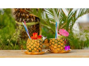 Toit of the luxury tent aladel või selle läheduses