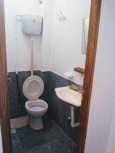 a bathroom with a toilet and a sink at Monoambiente San Bernardo in San Bernardo