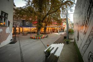 采列MCC旅馆的城市里种有树和长凳的庭院