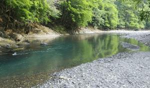a river with a rocky shore and trees in the background at Ryujin Village Oku-Komatagawa Bungalow - Vacation STAY 42247v in Ōkuma