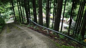 einen Weg mitten im Wald mit Bäumen in der Unterkunft Ryujin Village Oku-Komatagawa Bungalow - Vacation STAY 42249v in Ōkuma