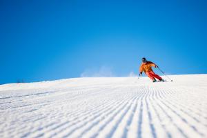 a person is skiing down a snow covered slope at Actif 413 - apartment close to Ål Ski Centre in Ål +13 photos