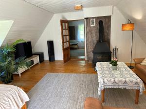 a living room with a table and a fireplace at Merineitsi in Vintri