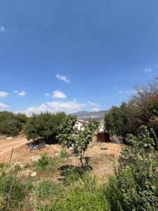 Fotografie z fotogalerie ubytování תפארת עזך v destinaci Kefar H̱ananya