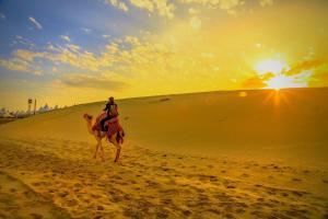 a man riding a camel in the desert at Hanu Guest house in Jaisalmer