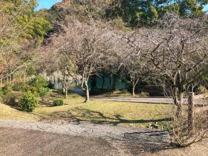 TakaikeにあるObachanchi - Vacation STAY 56999vの背景家屋庭