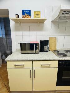 a kitchen with a microwave on a counter at Forest Nest Huchenfeld in Pforzheim