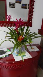 Afbeelding uit fotogalerij van Hotel Popayan Plaza in Popayan