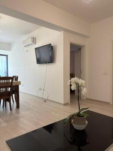 a living room with a tv and a table with a plant at Stroe House in Iaşi